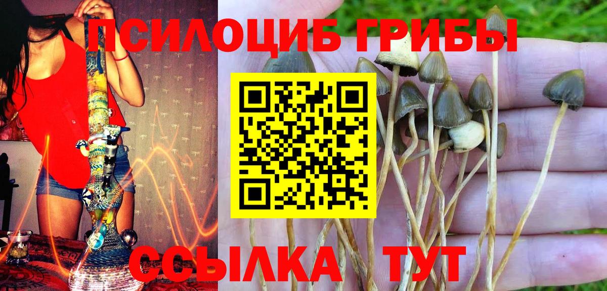 Нягань  Псилоцибиновые грибы прущие грибы  Вход с VPN 